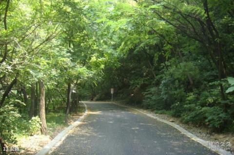 济南龙洞风景区旅游攻略 之 公路