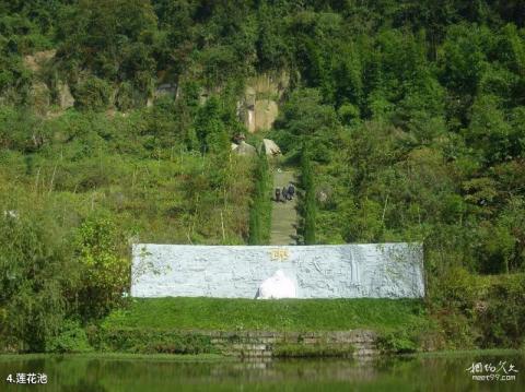 重庆圣灯山森林公园旅游攻略 之 莲花池