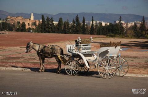 摩洛哥梅克内斯市旅游攻略 之 观光马车