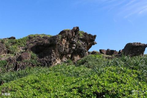 台湾三仙台风景区旅游攻略 之 植被