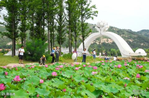 威海大乳山滨海旅游度假区旅游攻略 之 荷花池