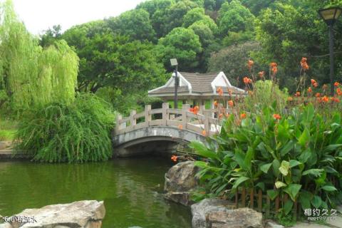 温州绣山公园旅游攻略 之 小桥流水