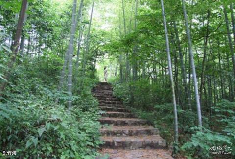 宜兴龙池山风景区旅游攻略 之 竹海