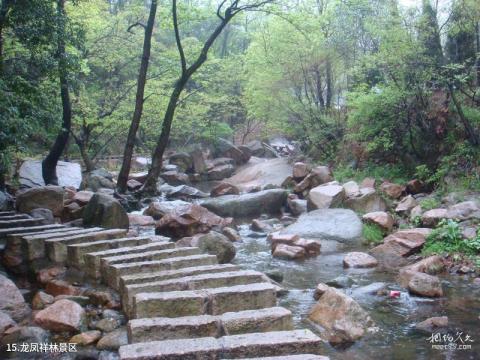 信阳灵山风景名胜区旅游攻略 之 龙凤祥林景区