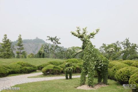 上海辰山植物园旅游攻略 之 植物造型园
