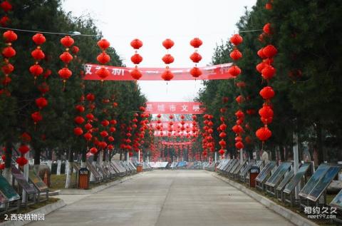 西安植物园旅游攻略 之 西安植物园