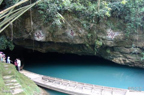 湘西里耶乌龙山风景区旅游攻略 之 鲢鱼洞