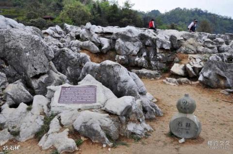 绵阳北川药王谷旅游攻略 之 石林