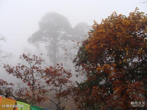 海螺沟冰川森林公园旅游攻略 之 燕子沟风景区