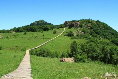 北京百花山自然风景区旅游攻略 之 百花草畔