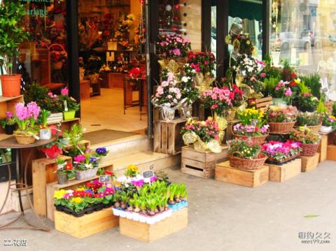 法国里昂旅游攻略 之 花店