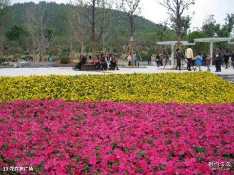 徐州云龙湖风景区旅游攻略 之 花卉苑广场
