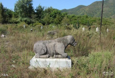 铁岭李成梁家族墓旅游攻略 之 石马