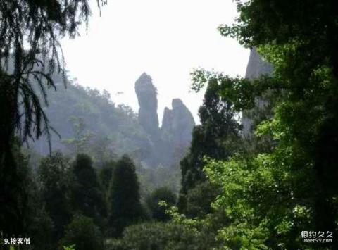 雁荡山风景区旅游攻略 之 接客僧