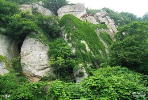 连云港市高公岛风景游览区旅游攻略 之 植被