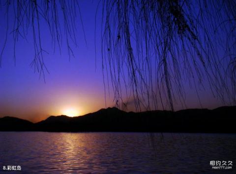 上海淀山湖旅游攻略 之 彩虹岛
