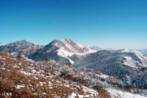 甘肃莲花山国家级自然保护区旅游攻略 之 雪景