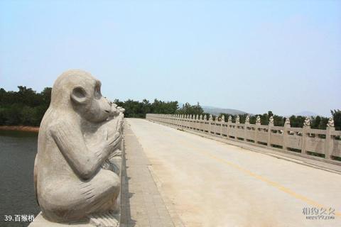 遂平嵖岈山风景名胜区旅游攻略 之 百猴桥