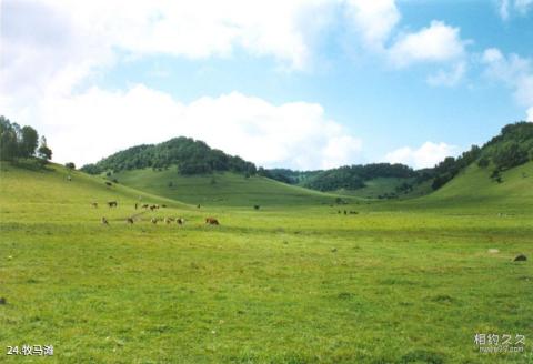 麦积山风景区旅游攻略 之 牧马滩