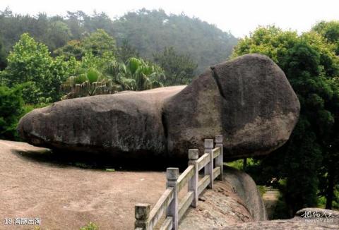 苍南石聚堂风景区旅游攻略 之 海豚出海