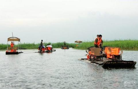 大庆珰奈湿地旅游攻略 之 芦荡撑排