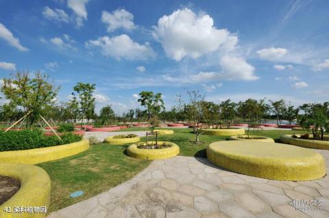上海辰山植物园旅游攻略 之 染料植物园