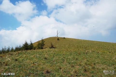 山西灵石红崖峡谷旅游攻略 之 高山草甸区