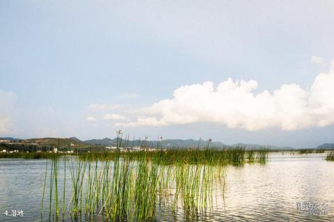 威宁草海国家级自然保护区旅游攻略 之 湿地