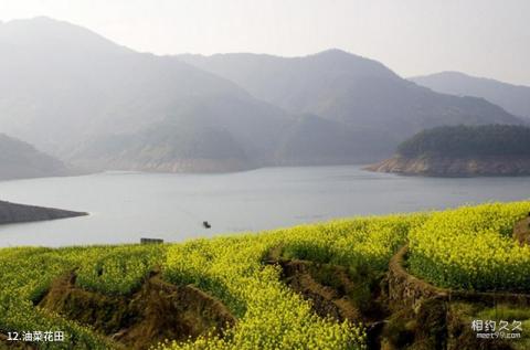 遂昌湖山森林公园旅游攻略 之 油菜花田