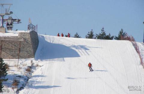 龙井马蹄山旅游度假区旅游攻略 之 雪道