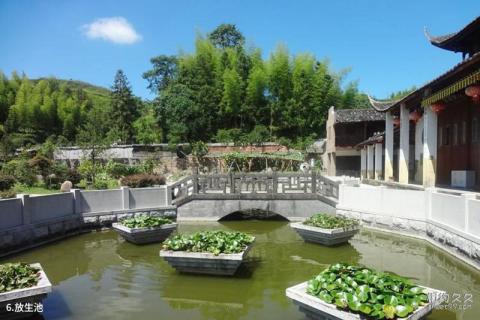 福建寿宁三峰寺旅游攻略 之 放生池
