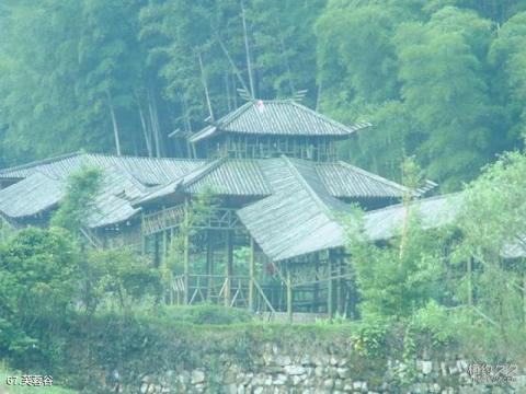 黄山风景区旅游攻略 之 芙蓉谷