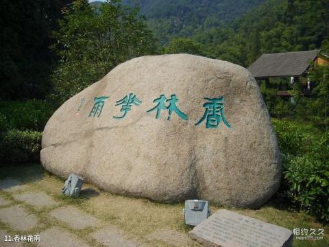 绍兴大香林旅游攻略 之 香林花雨