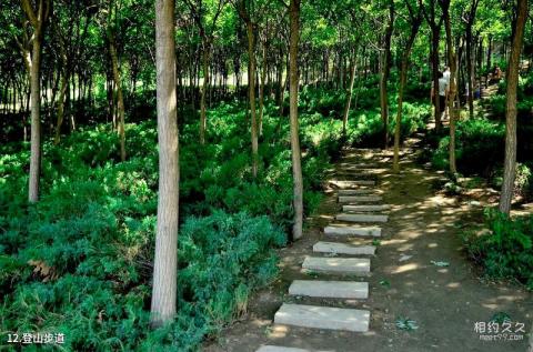 天津南翠屏公园旅游攻略 之 登山步道