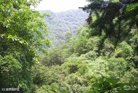 衢州古田山旅游攻略 之 自然保护区