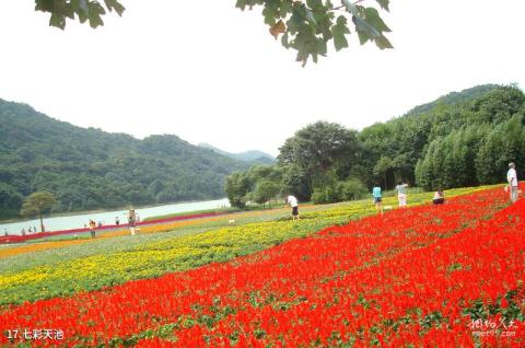 从化石门国家森林公园旅游攻略 之 七彩天池