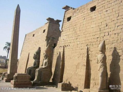 卢克索旅游攻略 之 卢克索神庙(TempleofLuxor)