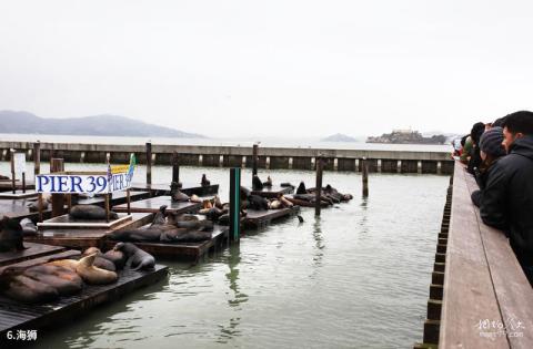 旧金山渔人码头旅游攻略 之 海狮