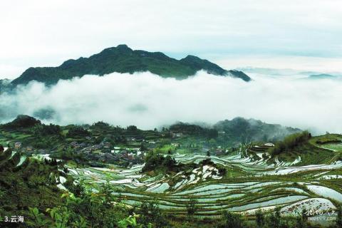 浙江云和梯田旅游攻略 之 云海