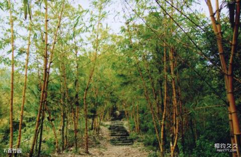 厦门天竺山风景区旅游攻略 之 百竹园