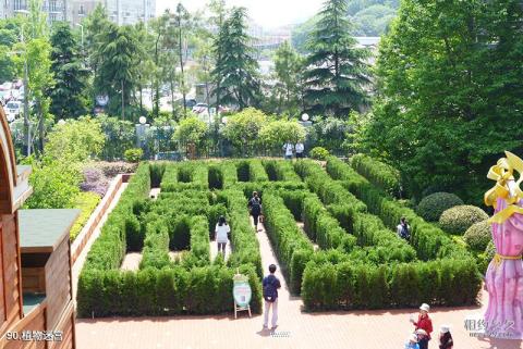 杭州烂苹果乐园旅游攻略 之 植物迷宫