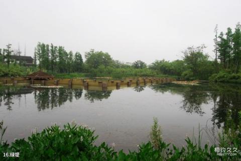 西溪国家湿地公园旅游攻略 之 绿堤
