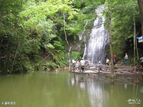 赣州阳岭国家森林公园旅游攻略 之 瀑布景区