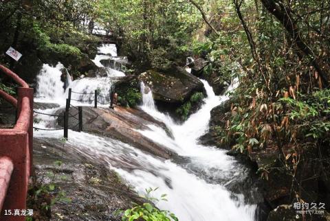 武夷山龙川大峡谷旅游攻略 之 真龙瀑