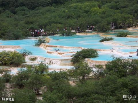 黄龙风景名胜区旅游攻略 之 争艳池