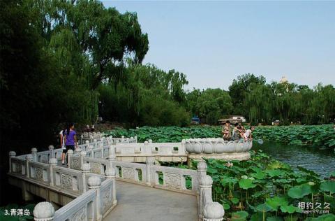北京紫竹院公园旅游攻略 之 青莲岛