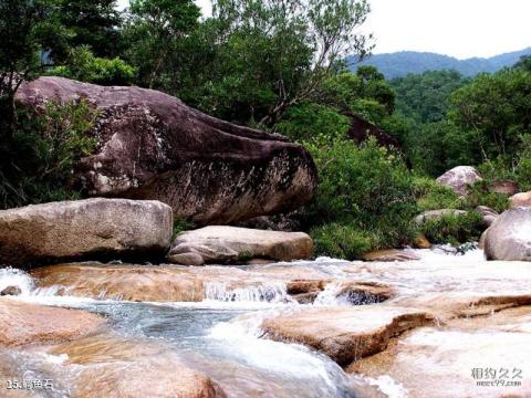 海南吊罗山国家森林公园旅游攻略 之 鳄鱼石