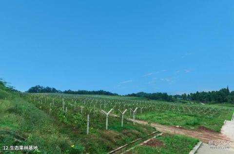 平昌驷马水乡旅游区旅游攻略 之 生态果林基地