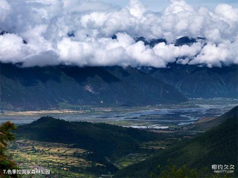 林芝鲁朗林海风景区旅游攻略 之 色季拉国家森林公园