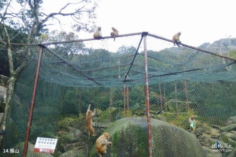 龙岩梅花山中国虎园旅游攻略 之 猴山